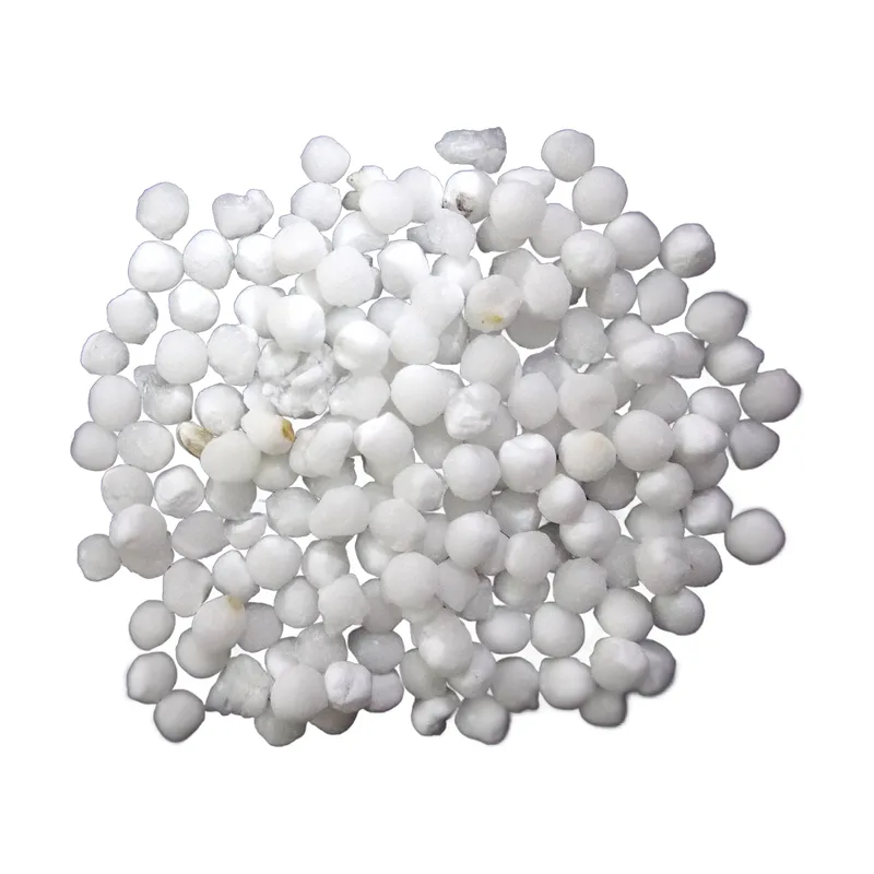 BF Sabudana (Sago), 500 g